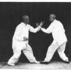 Xingyi Encyclopedia Entry: 五花炮 /Wu Hua Pao – Five Flowers Pounding